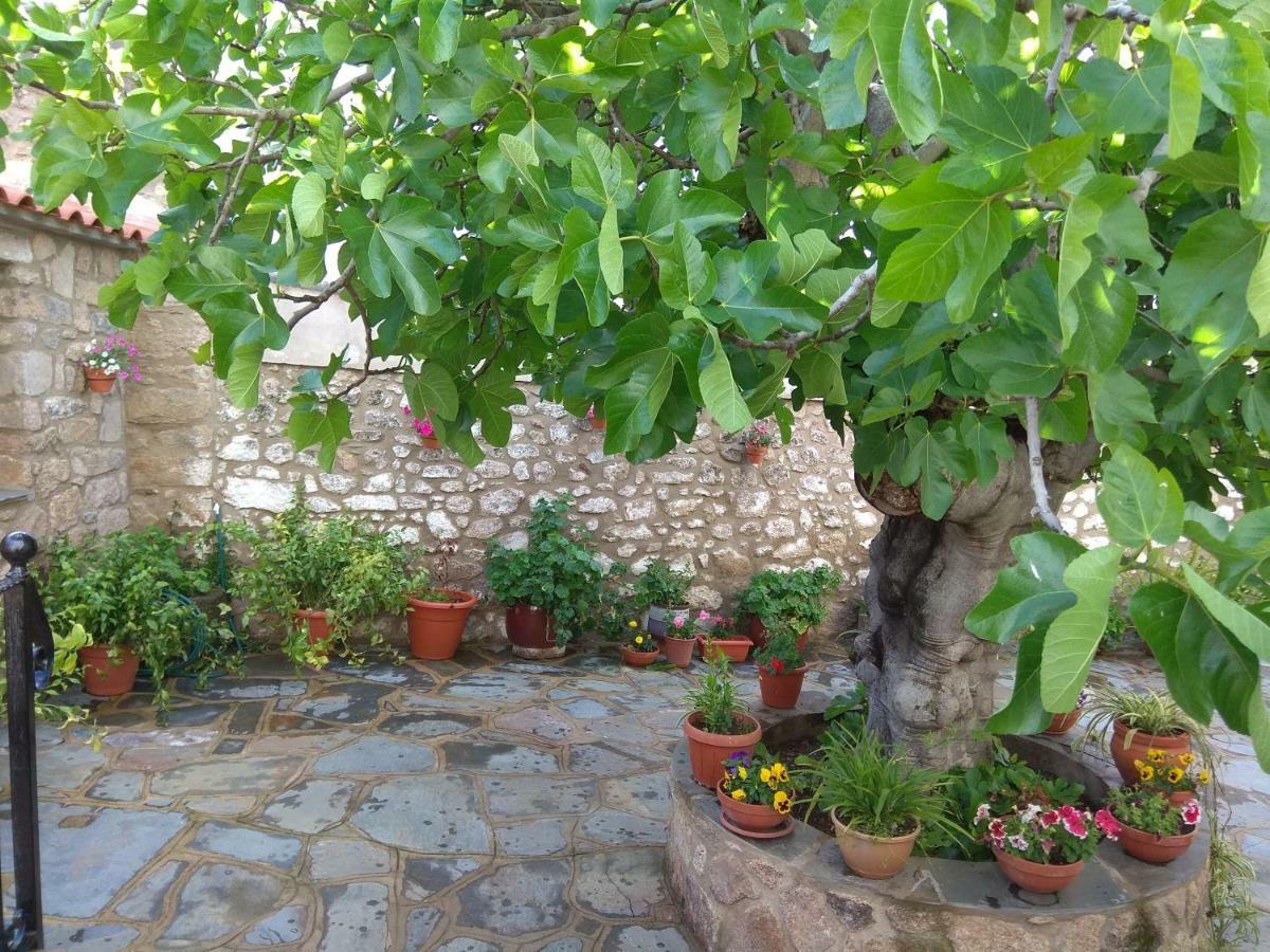 Apartamentos Rurales Tia Maria Mata de Alcántara エクステリア 写真