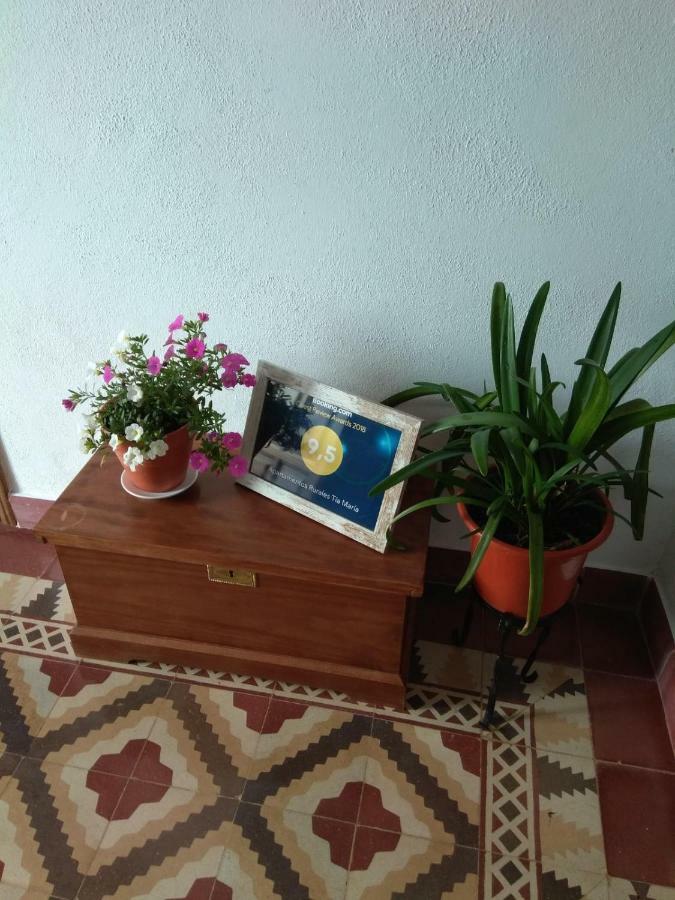 Apartamentos Rurales Tia Maria Mata de Alcántara エクステリア 写真